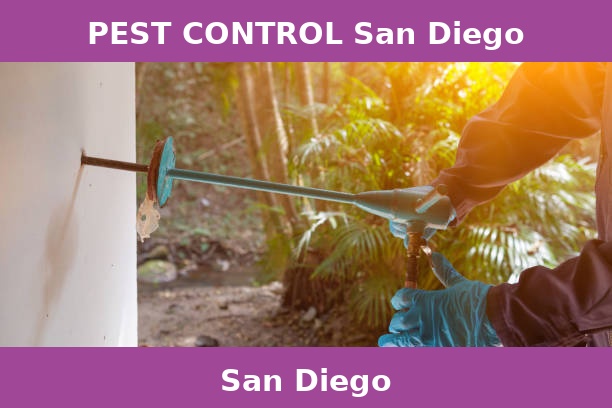 PEST CONTROL San Diego